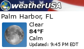 Local Weather Report Local Weather Report