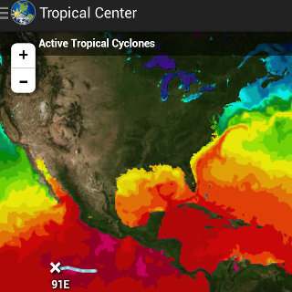 Tropical Center screen